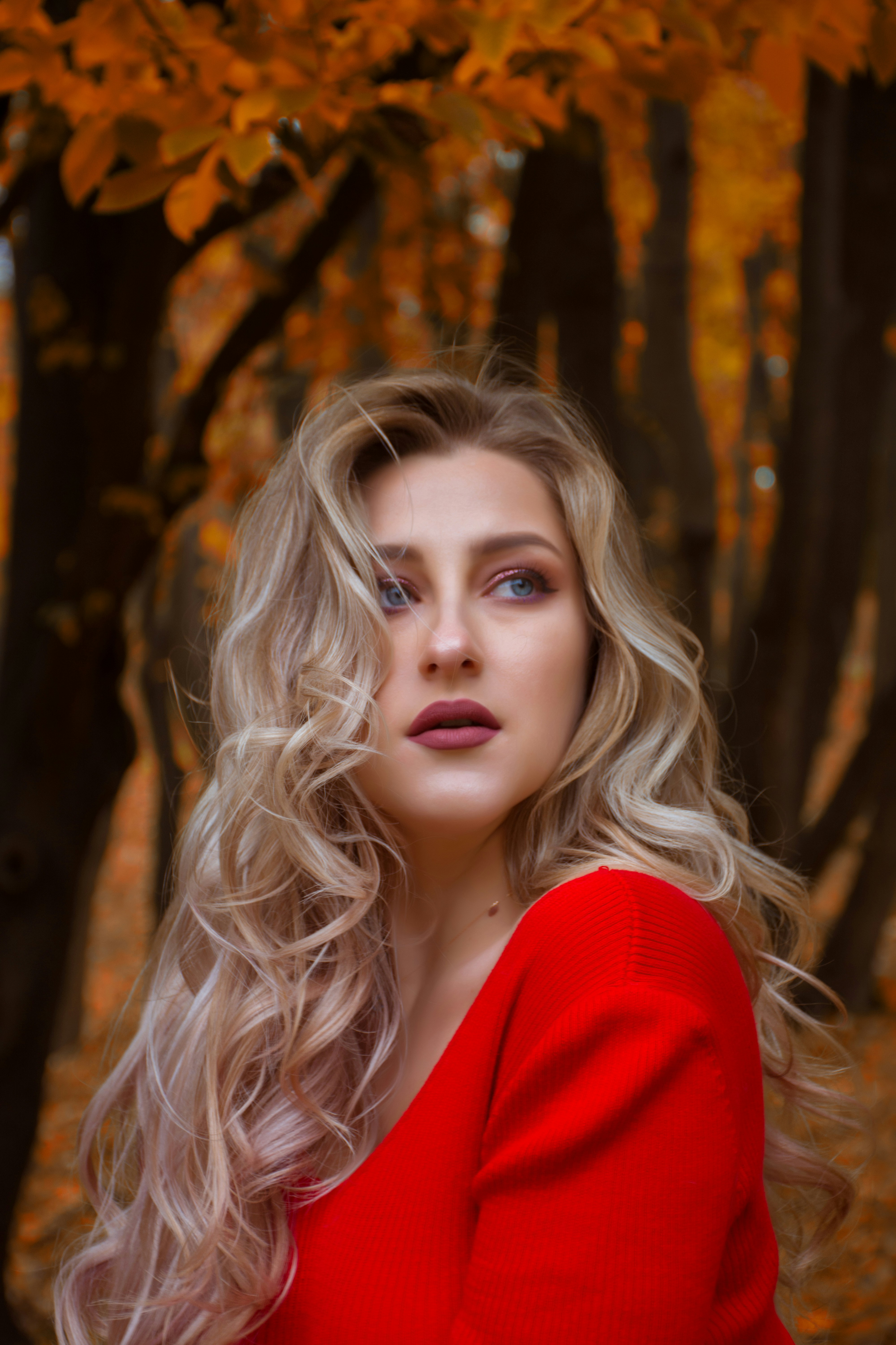 精选推荐：深夜氛围专区