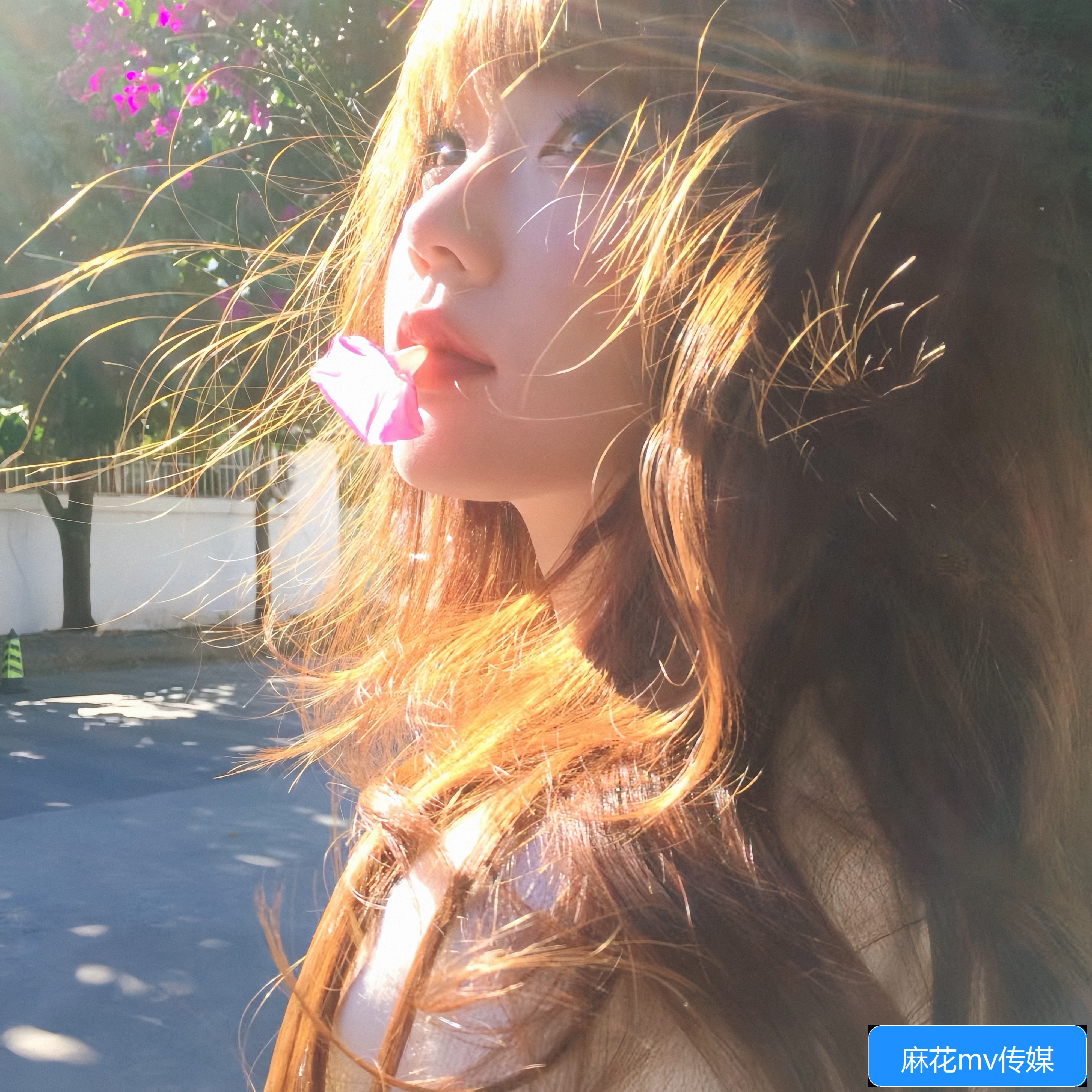 麻花MV中的果冻蘑菇视频是什么意思？背后隐藏了哪些寓意