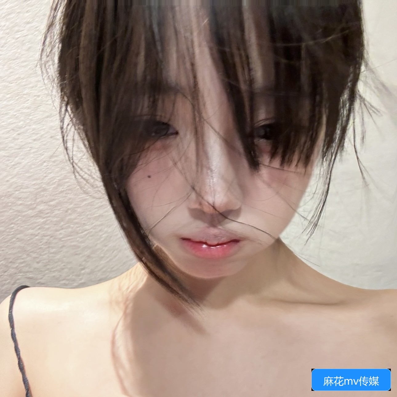 麻花MV中的果冻蘑菇视频内容是什么意思，有什么特别的寓意吗